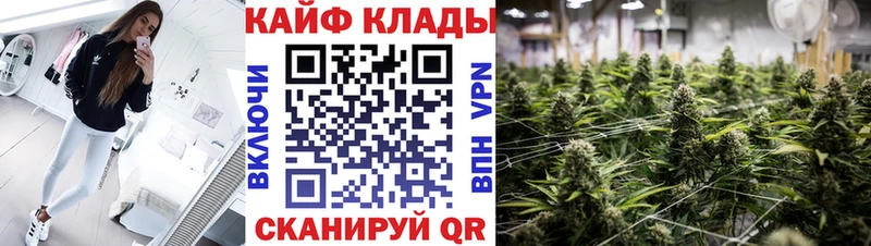 Купить наркотики цена Пугачёв Псилоцибиновые грибы Гашиш ТГК Канабис