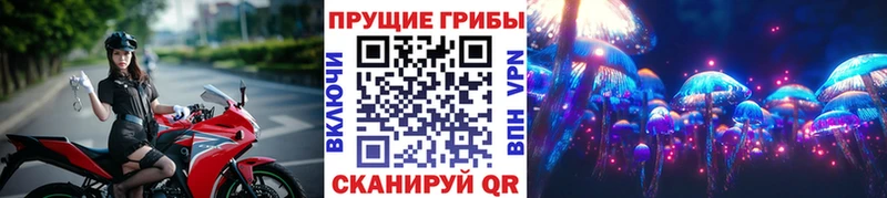 где можно купить наркотик  Пугачёв  Псилоцибиновые грибы прущие грибы 