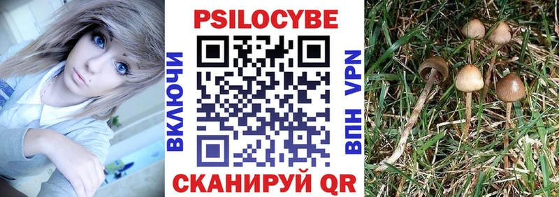 Галлюциногенные грибы прущие грибы Пугачёв